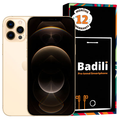 Apple iPhone 12 Pro Max - Renewed